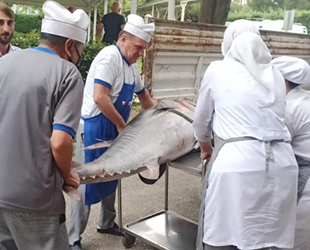 Bursa’da balık sezonu sıkı denetimle başladı