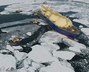 Petrolü ve dizel yakıtı temizleyebilen yeni bakteri türleri keşfedildi