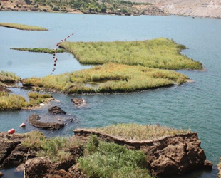 Çat Baraj Gölü’ndeki yüzen adalar sabitlenecek