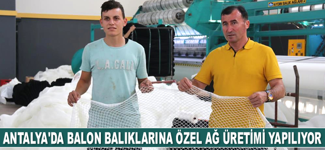 Yüzlerce balon balığını tek seferde yakalayacak özel ağ üretiliyor
