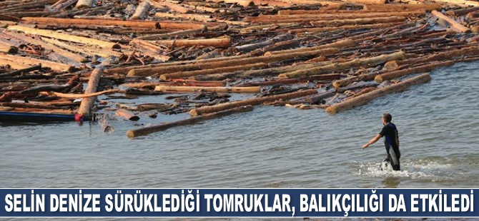 Selin Karadeniz’e sürüklediği tomruklar, balıkçılığı da etkiledi
