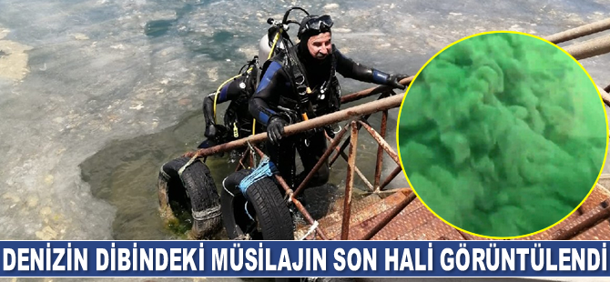 Marmara Denizi’nin dibindeki müsilajın son hali görüntülendi