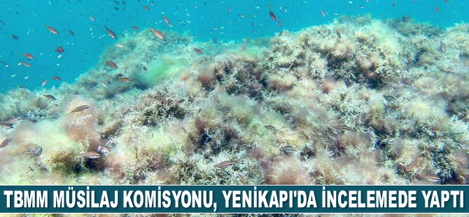 TBMM Müsilaj Komisyonu, Yenikapı'da incelemelerde bulundu