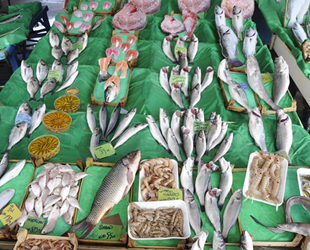 Balık tezgahlarında çeşit var, bolluk yok