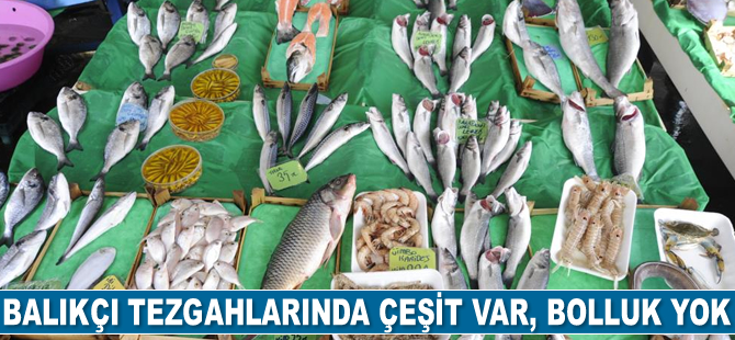 Balık tezgahlarında çeşit var, bolluk yok