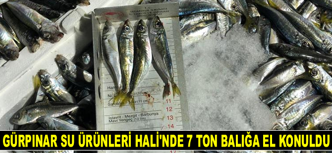 Gürpınar Su Ürünleri Hali'nde denetimler sıklaştı