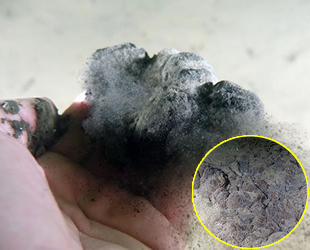 Marmara'da müsilaj kabusu için 'Kasım' uyarısı geldi