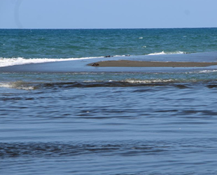 Petrol sızıntısı, Hataylı balıkçıları endişelendiriyor
