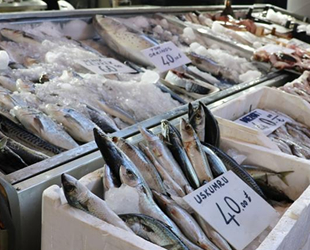 Tezgahlardaki balıklar yüksek fiyatlarla alıcı buluyor