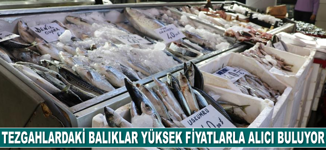 Tezgahlardaki balıklar yüksek fiyatlarla alıcı buluyor
