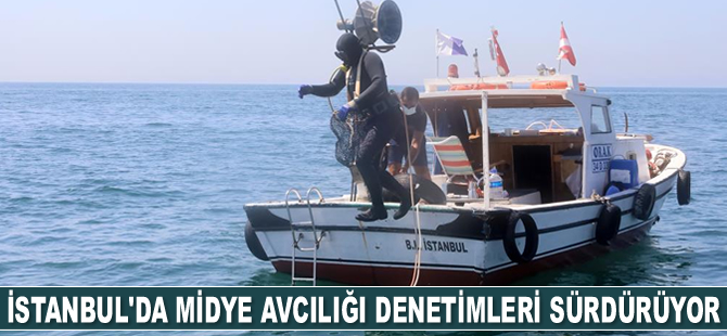 İstanbul’da midye avcılığı denetimleri sürdürüyor