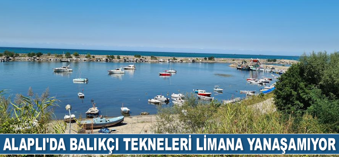 Alaplı’da balıkçı tekneleri limana yanaşamıyor
