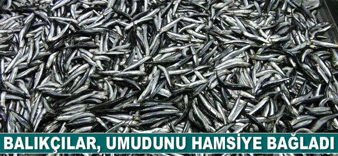 Balıkçılar, umudunu hamsiye bağladı