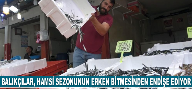 Balıkçılar, hamsi sezonunun erken bitmesinden endişe ediyor