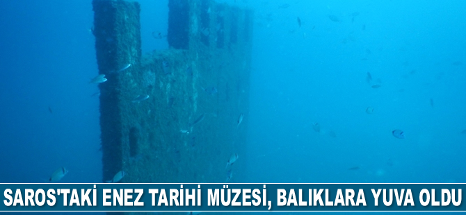 Saros Körfezi’ndeki Enez Tarihi Müzesi, balıklara yuva oldu