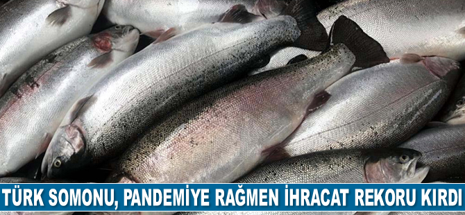 Türk somonu, ihracat rekoru kırdı