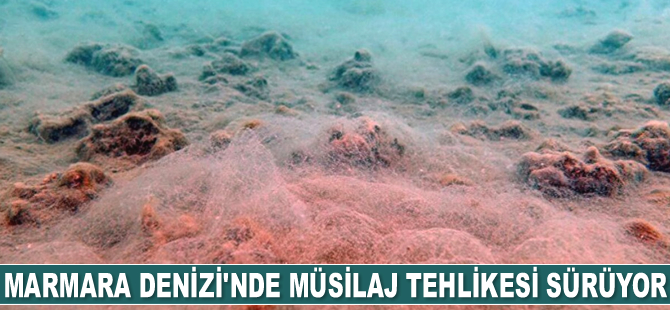 Marmara Denizi’nde müsilaj tehlikesi sürüyor