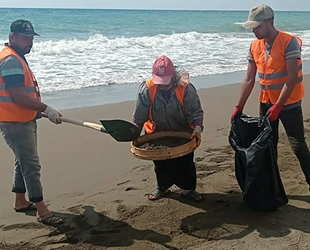 Samandağ sahilinde petrol atıkları elekle temizleniyor