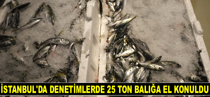 İstanbul’da 25 ton balığa el konuldu
