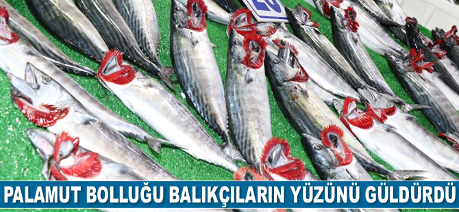 Hamsi ve palamut bolluğu balıkçıların yüzünü güldürdü