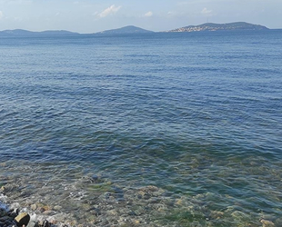 Oksijen azlığı, Marmara Denizi için tehlike oluşturuyor