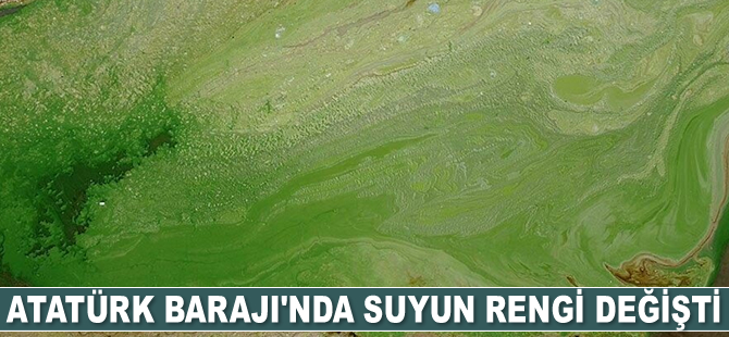 Atatürk Barajı’nda suyun rengi değişti