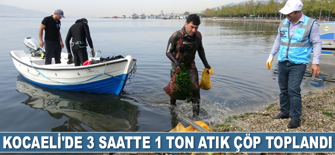 Kocaeli'de Dünya Temizlik Günü'nde 3 saatte 1 ton atık çöp toplandı