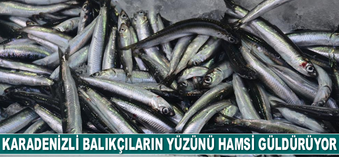 Karadenizli balıkçıların yüzünü hamsi güldürüyor