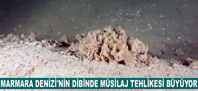 Marmara Denizi’nin dibinde müsilaj tehlikesi büyüyor