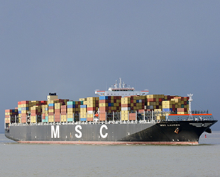 MSC LAUREN isimli konteyner gemisi karantinaya alındı