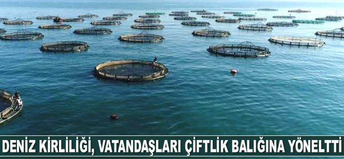 Deniz kirliliği ve müsilaj, vatandaşları çiftlik balığına yöneltti