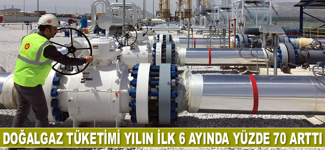 Ucuz doğalgaza talep arttı