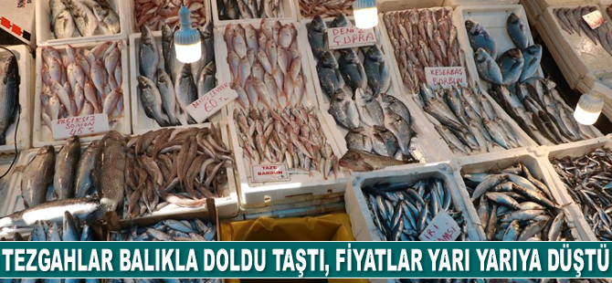Tezgahlar balıkla doldu taştı, fiyatlar yarı yarıya düştü