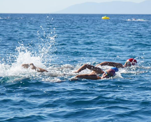 Ayvalık’ta Açık Su Yüzme Şampiyonası heyecanı yaşandı