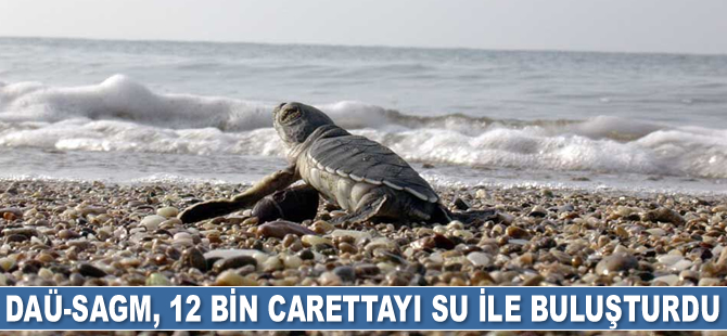 DAÜ-SAGM, 12 bin carettayı su ile buluşturdu