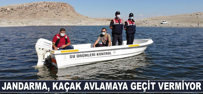 Jandarma ve tarım ekipleri, kaçak avlamaya geçit vermiyor