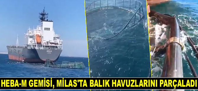 Heba-M isimli gemi, Güllük Körfezi’nde balık havuzlarını parçaladı