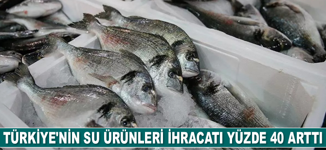 Türkiye’nin su ürünleri ihracatı yüzde 40 arttı