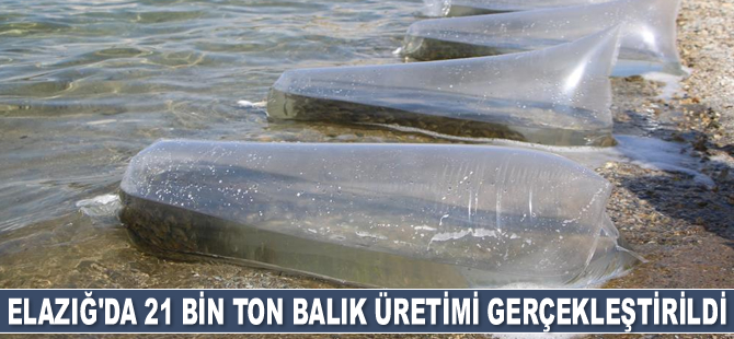 Elazığ’da 21 bin ton balık üretimi gerçekleştirildi