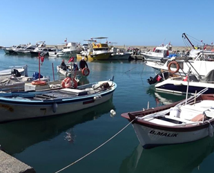 Zonguldaklı balıkçılar, yeni sezonda istediğini bulamadı