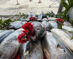Batı Karadeniz'de hamsi azaldı, palamut tezgahtaki yerini aldı