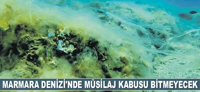Marmara Denizi’nde müsilaj kabusu bitmeyecek