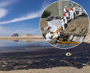 California kıyılarında petrol sızıntısını temizleme çalışmaları başladı