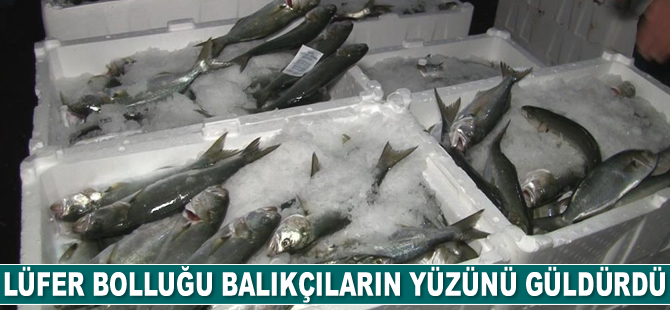 Marmara Denizi'nde lüfer bolluğu balıkçıların yüzünü güldürdü