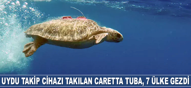 Caretta Tuba, 2 yılda 7 ülke gezdi