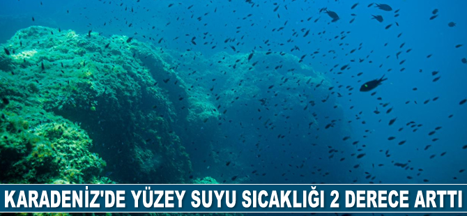 Türkiye’nin denizleri ısınıyor