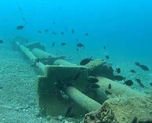 İstilacı balık türleri, yönünü Ege Denizi’ne çevirdi