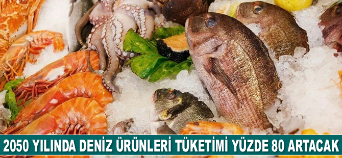 2050 yılında deniz ürünleri tüketimi yüzde 80 artacak