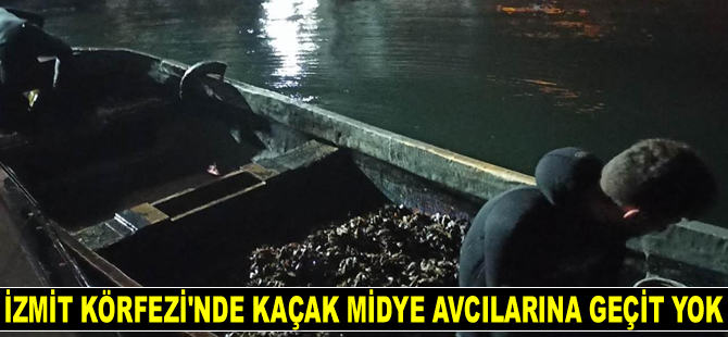 İzmit Körfezi'nde kaçak midye avcılarına geçit yok