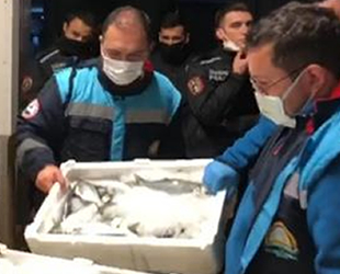 Gürpınar Su Ürünleri Hali'nde 5 ton balığa el konuldu